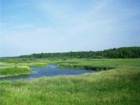 Mississippi River near Ball Club, MN